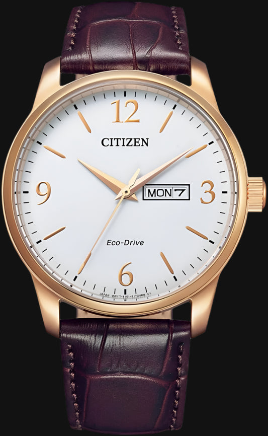 DL Citizen Men's Classic Analogue Eco-Drive Watch