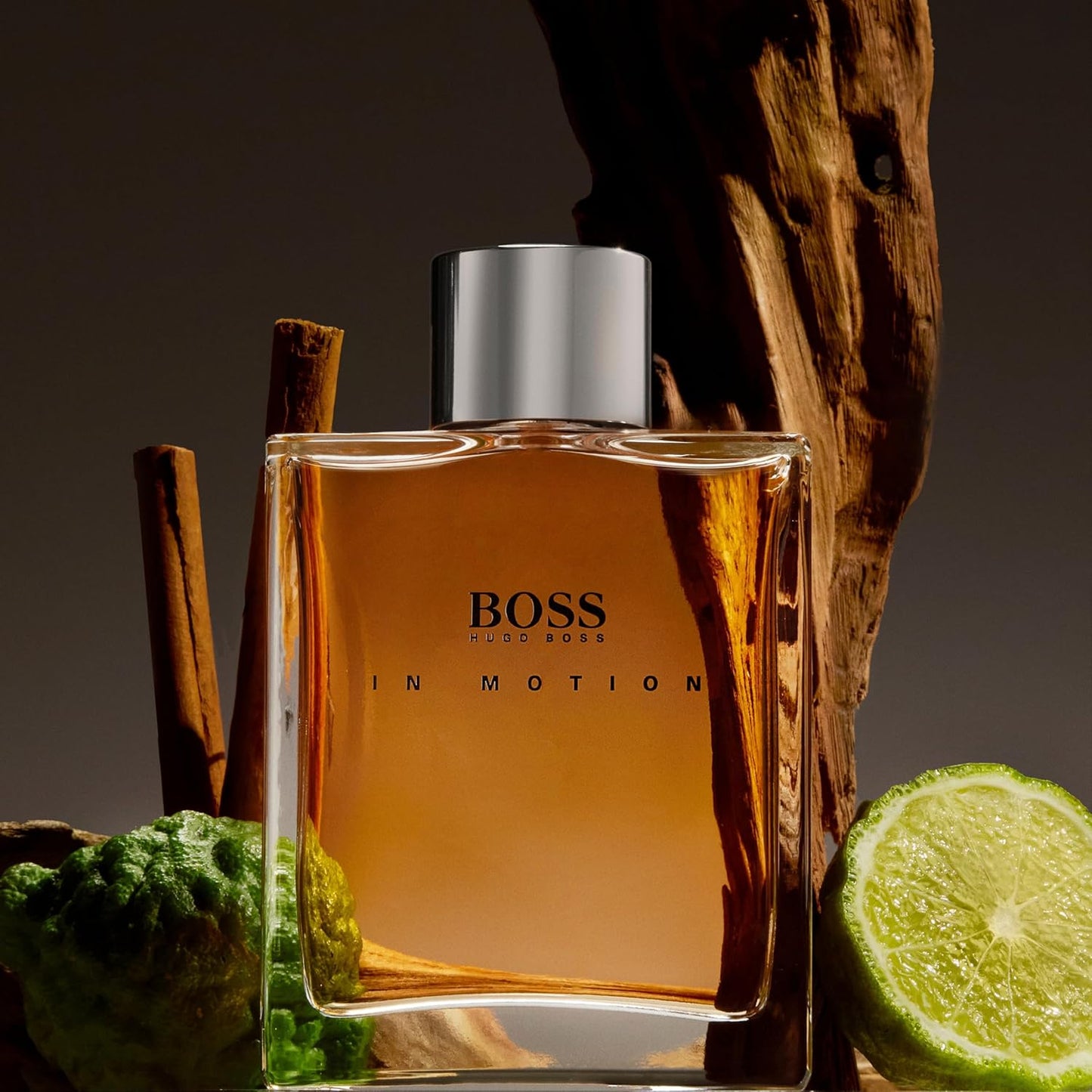 DL Hugo Boss In Motion